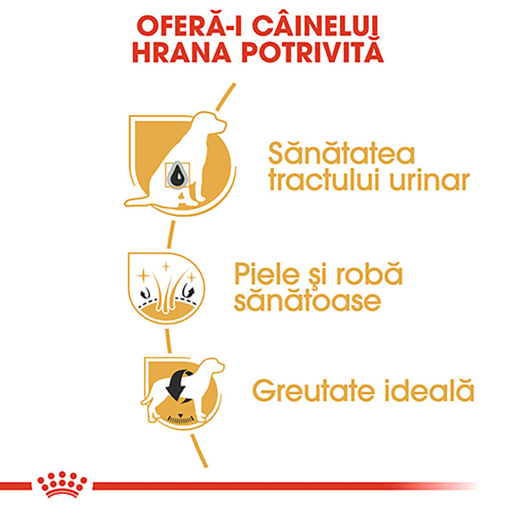 Royal Canin Bichon Frise Adult hrana uscata caine, 1.5 kg