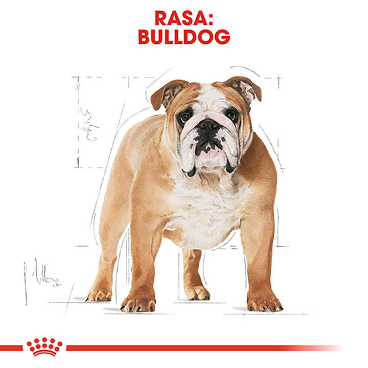 Royal Canin Bulldog Adult hrana uscata caine, 3 kg