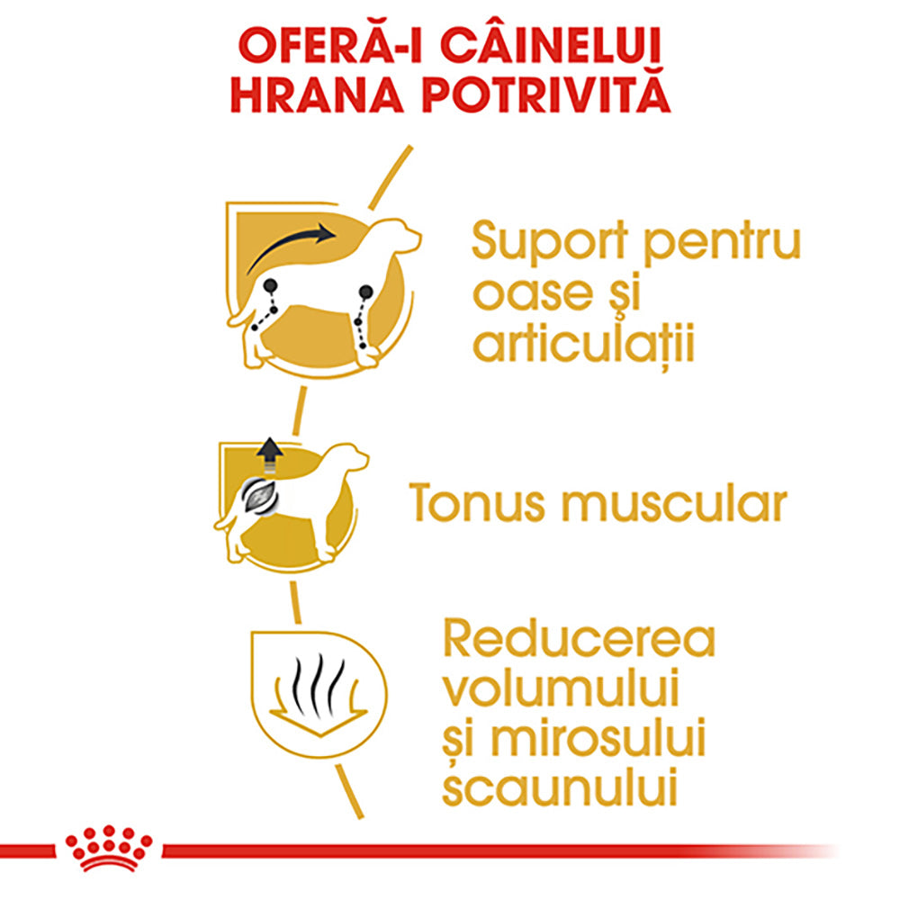 Royal Canin Dachshund Adult hrana uscata caine Teckel, 1.5 kg
