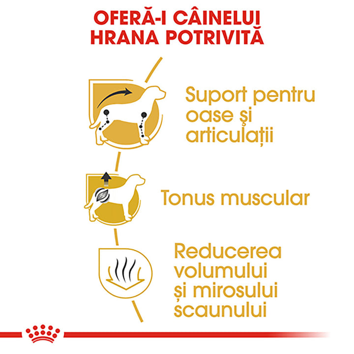 Royal Canin Dachshund Adult hrana uscata caine Teckel, 1.5 kg