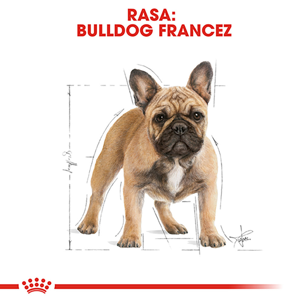 Royal Canin French Bulldog Adult hrana uscata caine, 3 kg