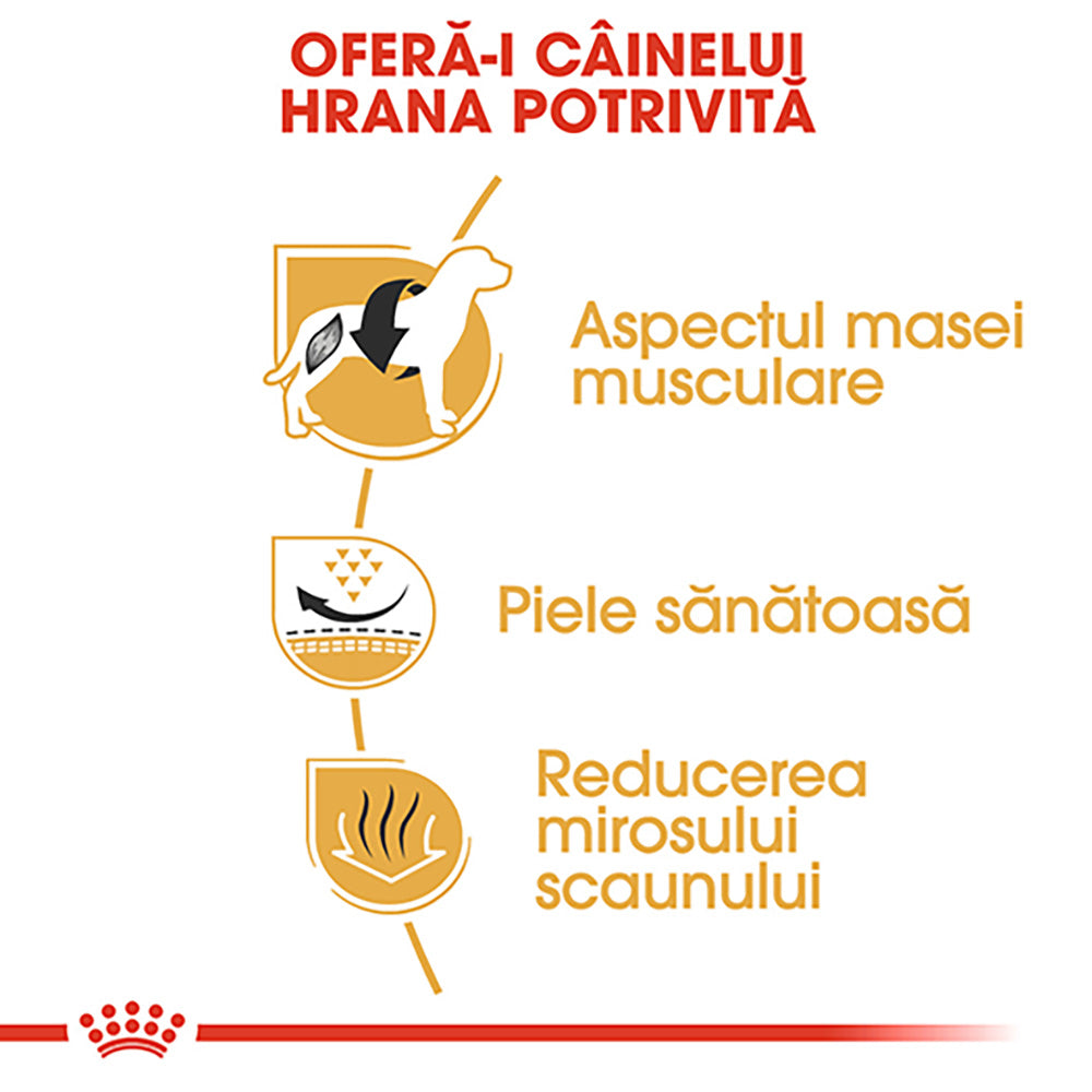 Royal Canin French Bulldog Adult hrana uscata caine, 3 kg