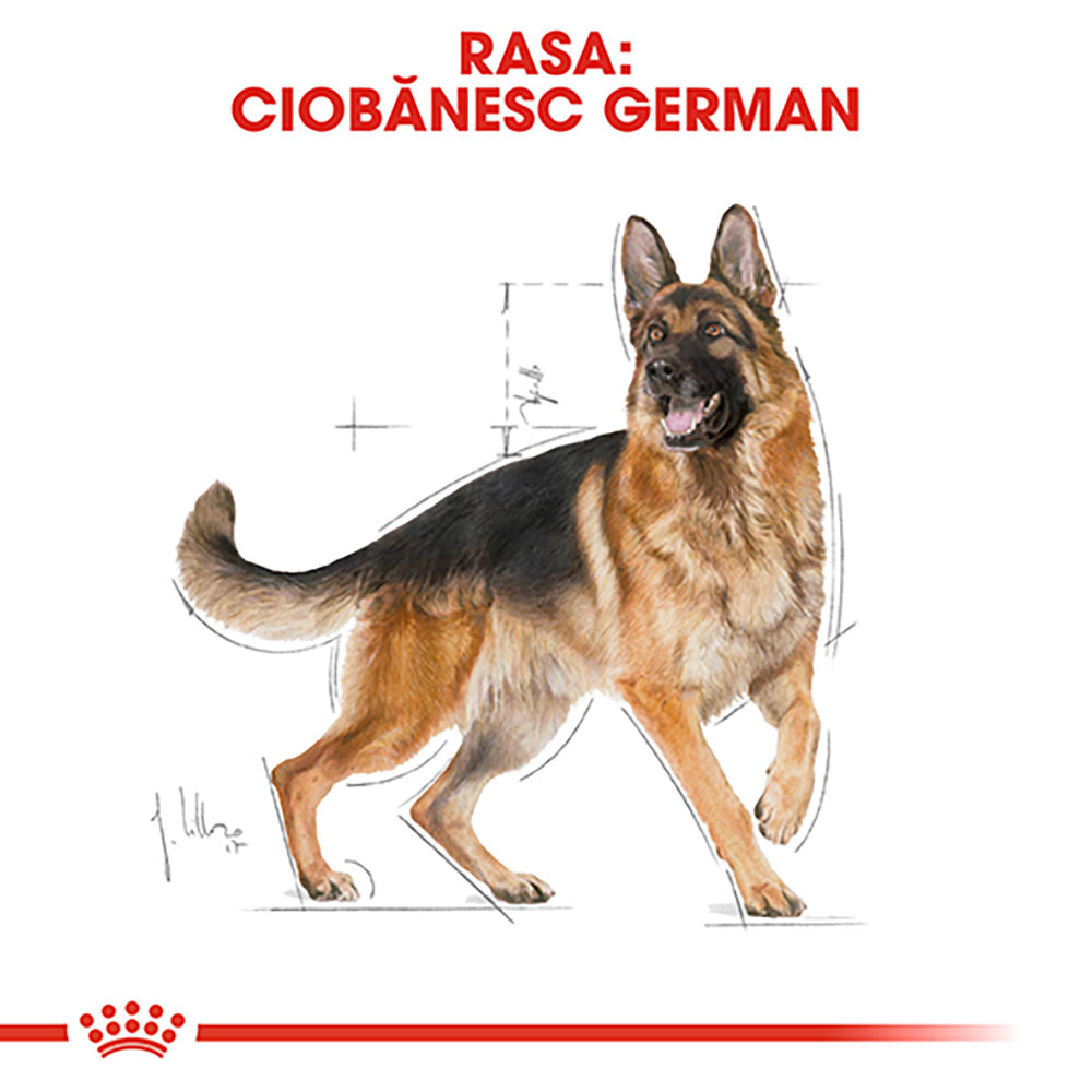 Royal Canin German Shepherd Adult hrana uscata caine Ciobanesc German, 3 kg
