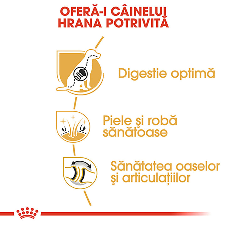 Royal Canin German Shepherd Adult hrana uscata caine Ciobanesc German, 3 kg