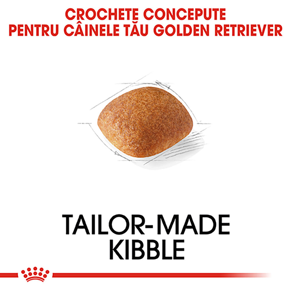 Royal Canin Golden Retriever Adult hrana uscata caine, 3 kg
