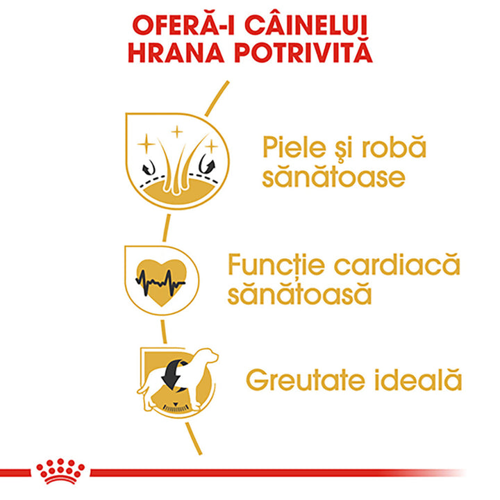 Royal Canin Golden Retriever Adult hrana uscata caine, 3 kg