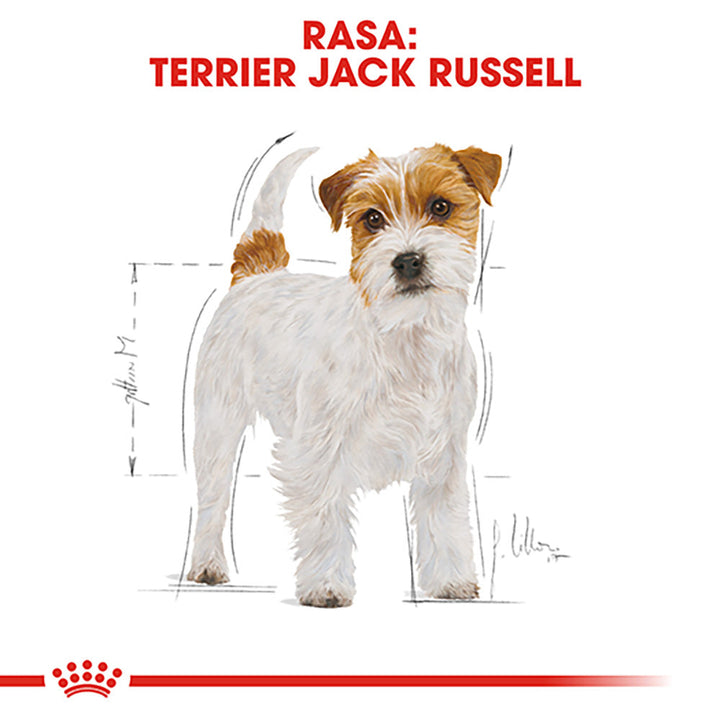 Royal Canin Jack Russell Terrier Adult, hrana uscata caini, 1.5kg