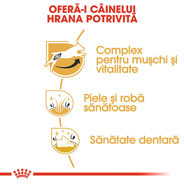 Royal Canin Jack Russell Terrier Adult, hrana uscata caini, 1.5kg