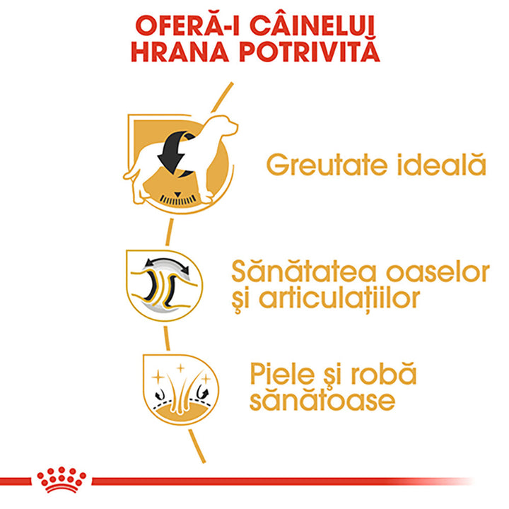Royal Canin Labrador Adult hrana uscata caine, 3 kg