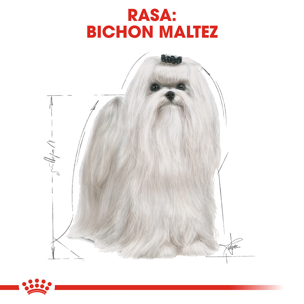 Royal Canin Maltese Adult hrana uscata caine, 500 g