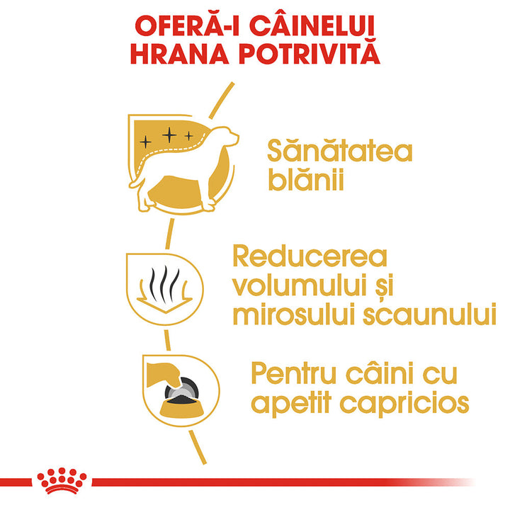 Royal Canin Maltese Adult hrana uscata caine, 500 g