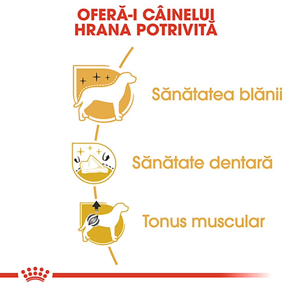 Royal Canin Poodle Adult hrana uscata caine, 1.5 kg