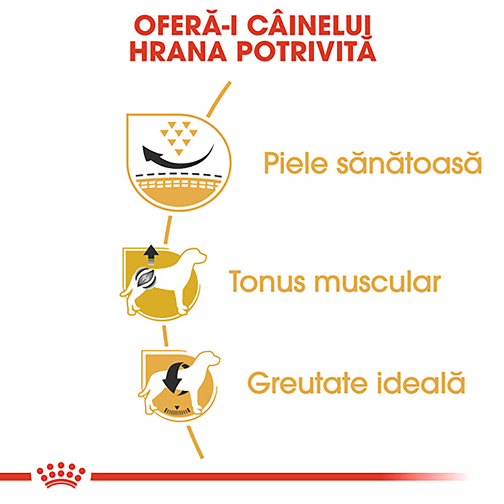Royal Canin Pug Adult hrana uscata caine, 1.5 kg