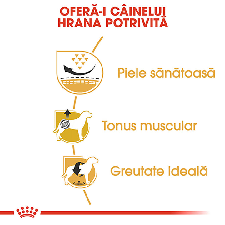 Royal Canin Pug Adult hrana uscata caine, 1.5 kg