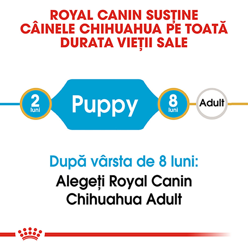 Royal Canin Chihuahua Puppy hrana uscata caine junior, 1.5 kg