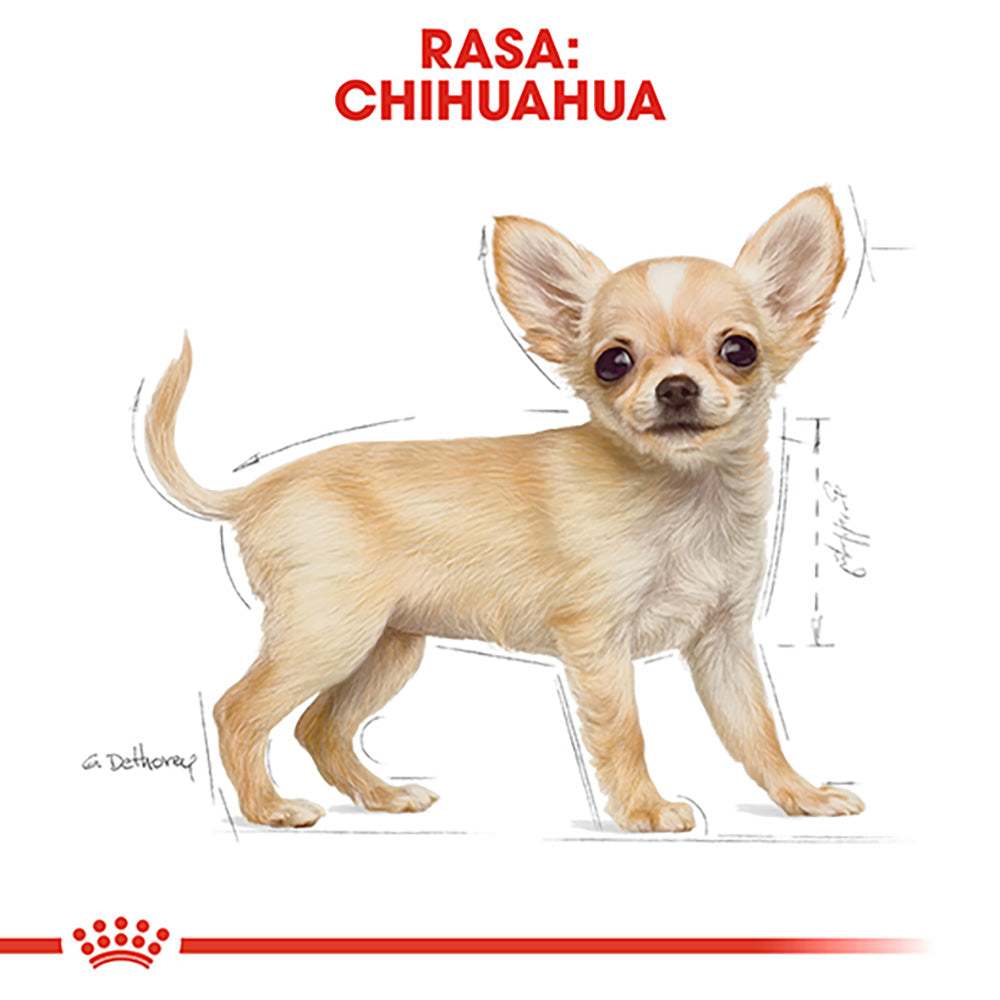 Royal Canin Chihuahua Puppy hrana uscata caine junior, 1.5 kg