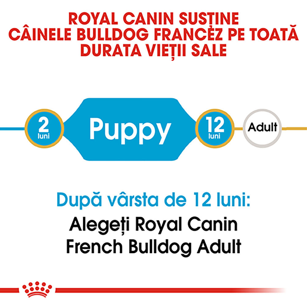 Royal Canin French Bulldog Puppy hrana uscata caine junior, 3 kg