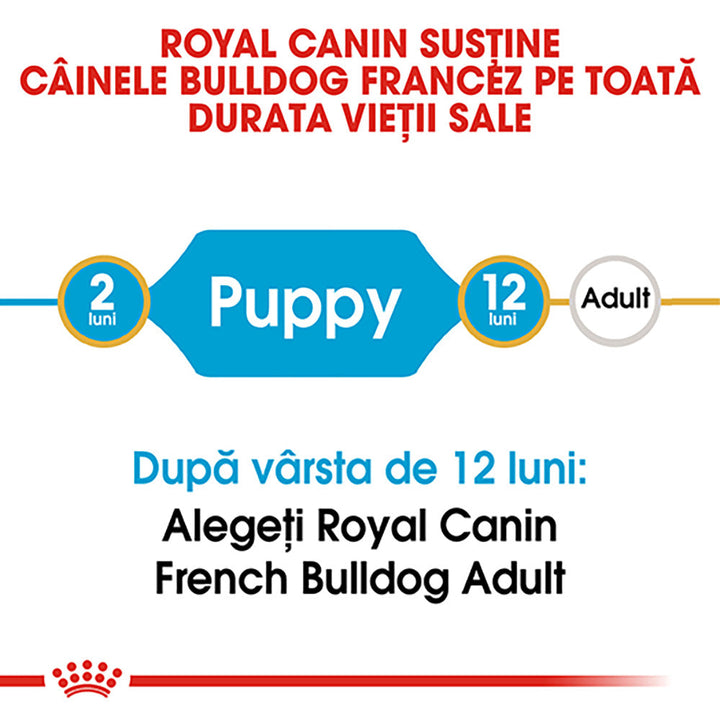 Royal Canin French Bulldog Puppy hrana uscata caine junior, 3 kg