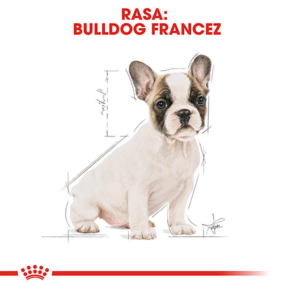Royal Canin French Bulldog Puppy hrana uscata caine junior, 3 kg