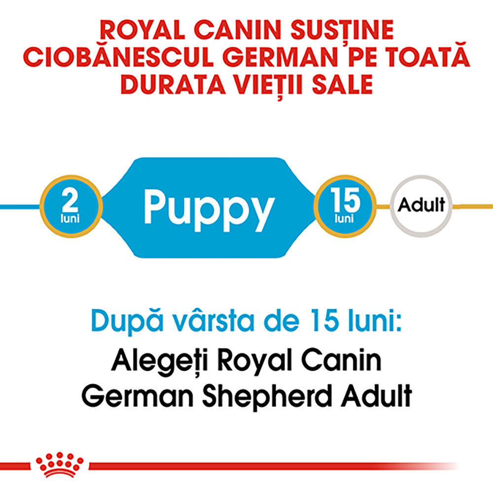 Royal Canin German Shepherd Puppy hrana uscata caine junior Ciobanesc German, 3 kg