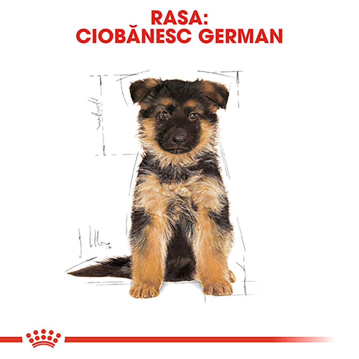 Royal Canin German Shepherd Puppy hrana uscata caine junior Ciobanesc German, 1 kg