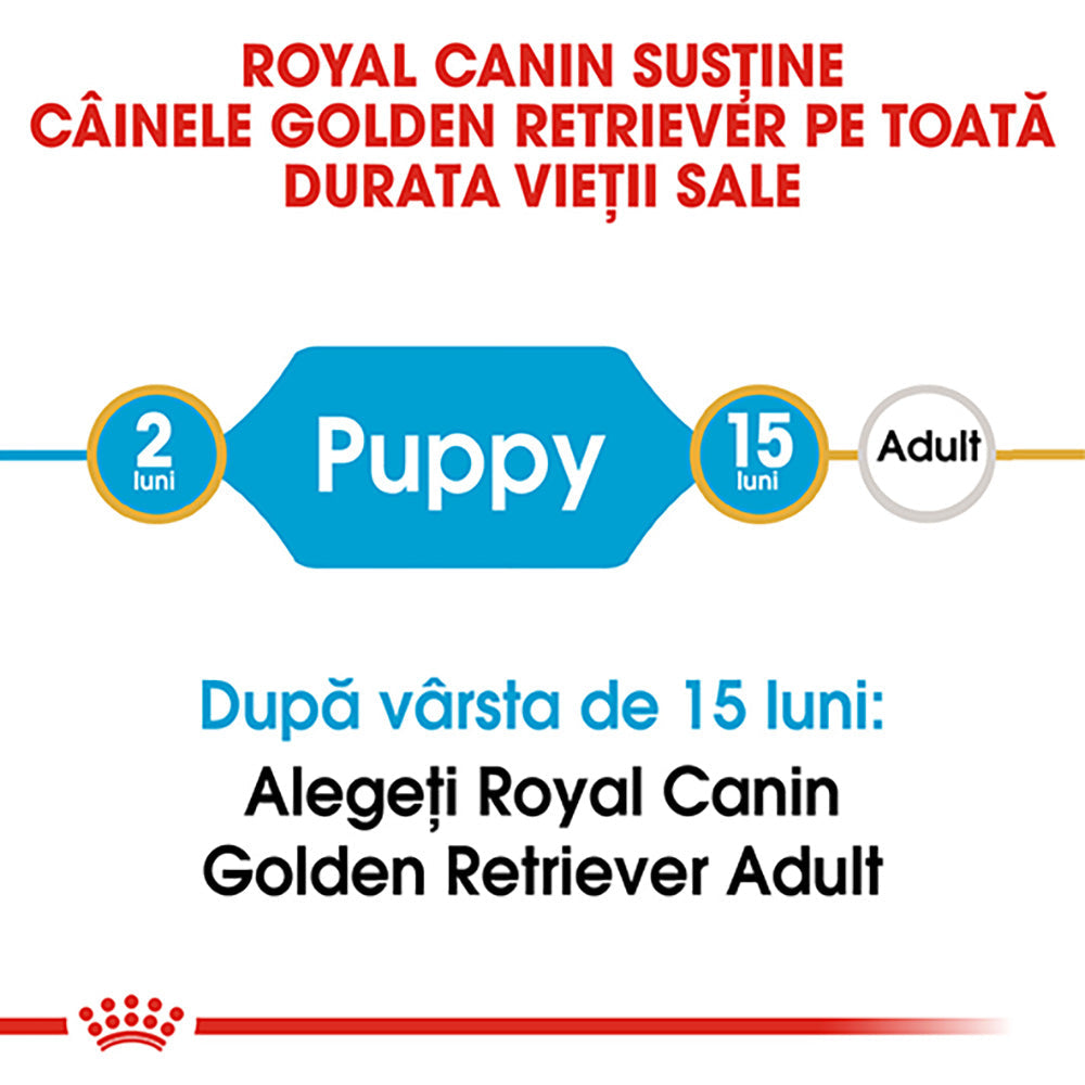 Royal Canin Golden Retriever Puppy hrana uscata caine junior, 3 kg