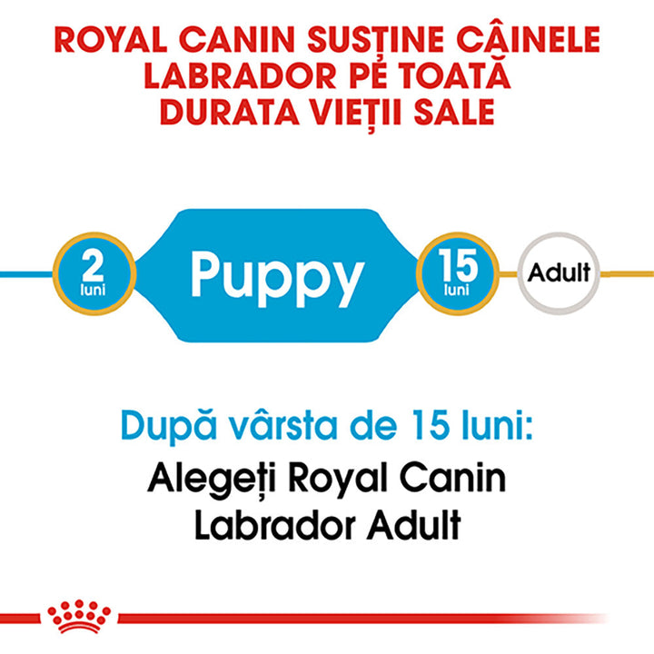 Royal Canin Labrador Puppy hrana uscata caine junior, 3 kg