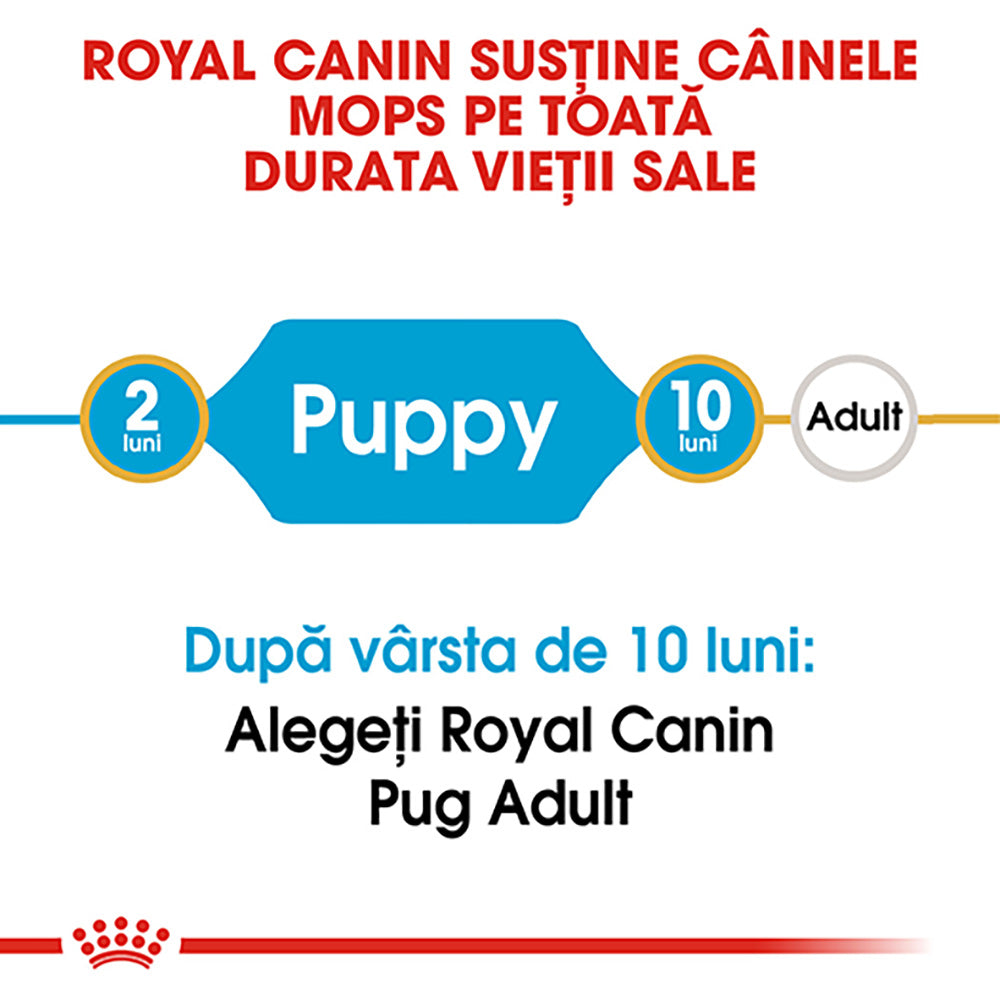 Royal Canin Pug Puppy hrana uscata caine junior, 1.5 kg