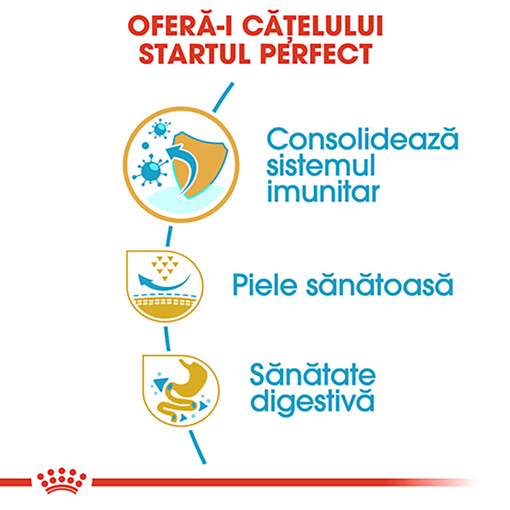 Royal Canin Pug Puppy hrana uscata caine junior, 1.5 kg
