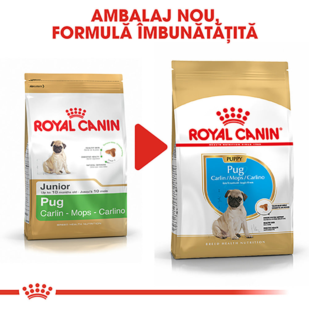 Royal Canin Pug Puppy hrana uscata caine junior, 1.5 kg