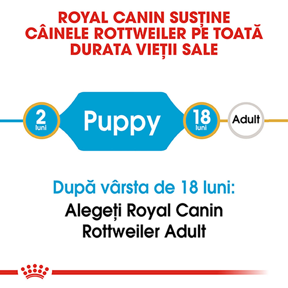 Royal Canin Rottweiler Puppy hrana uscata caine junior, 12 kg
