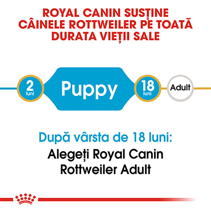 Royal Canin Rottweiler Puppy hrana uscata caine junior, 12 kg