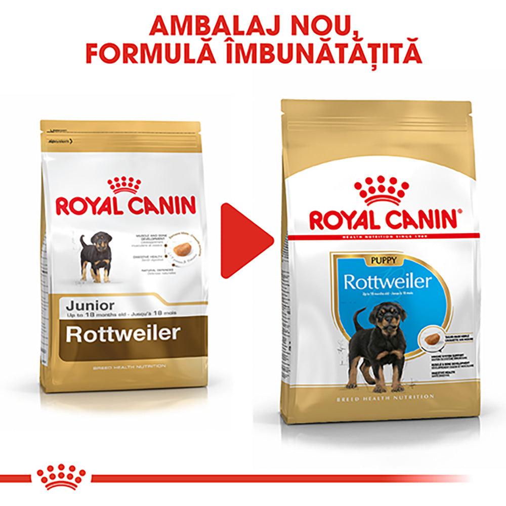 Royal Canin Rottweiler Puppy hrana uscata caine junior, 12 kg