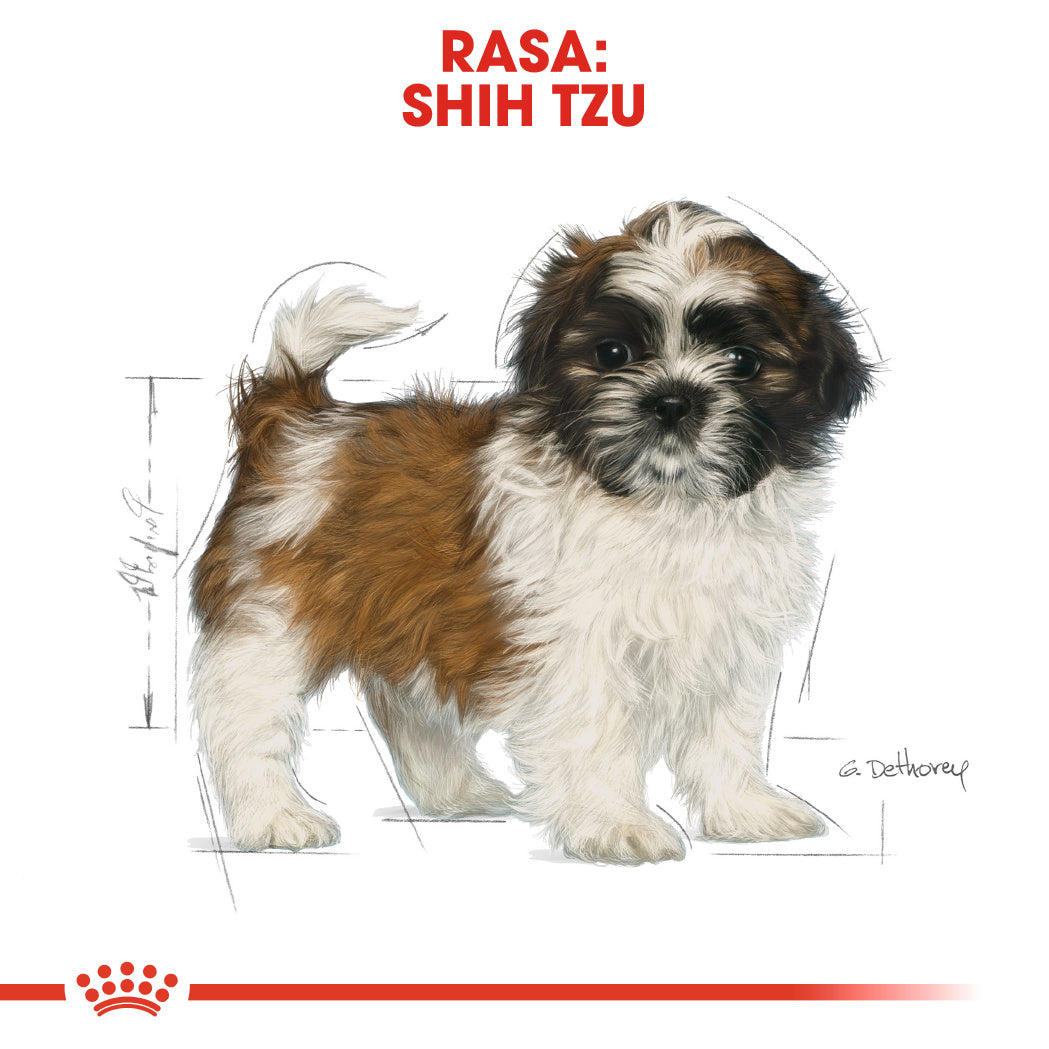 Royal Canin Shih Tzu Puppy hrana uscata caine junior, 1.5 kg