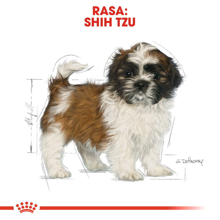 Royal Canin Shih Tzu Puppy hrana uscata caine junior, 1.5 kg