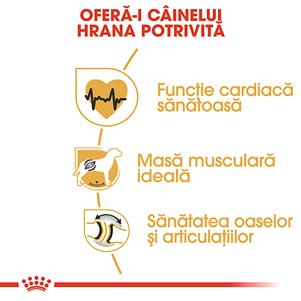 Royal Canin Rottweiler Adult hrana uscata caine, 12 kg