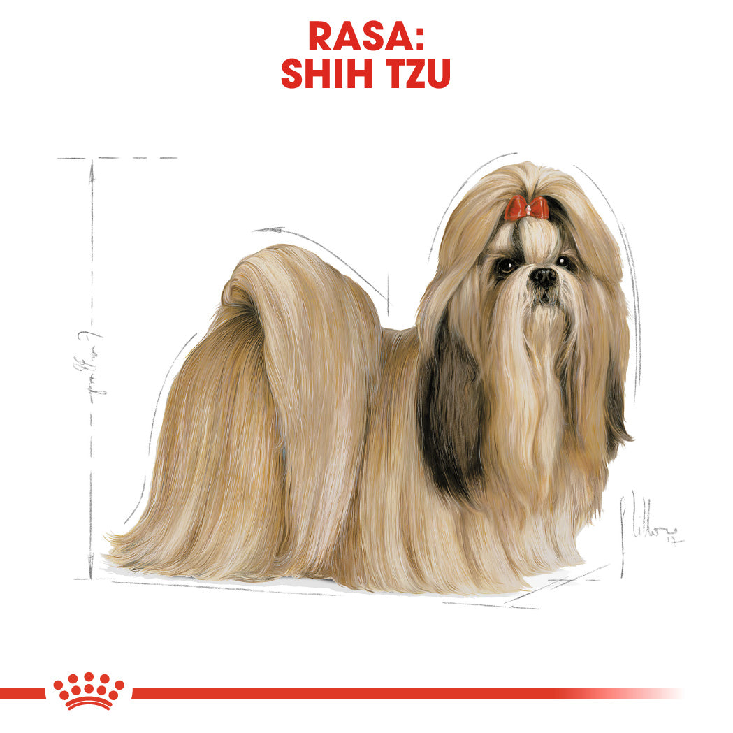 Royal Canin Shih Tzu Adult hrana uscata caine, 3 kg
