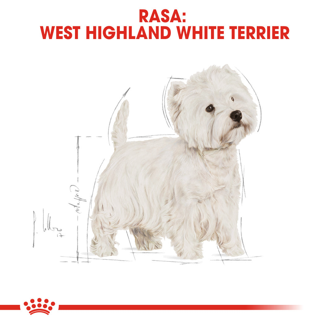 Royal Canin West Highland Terrier Adult hrana uscata caine Westie, 1.5 kg