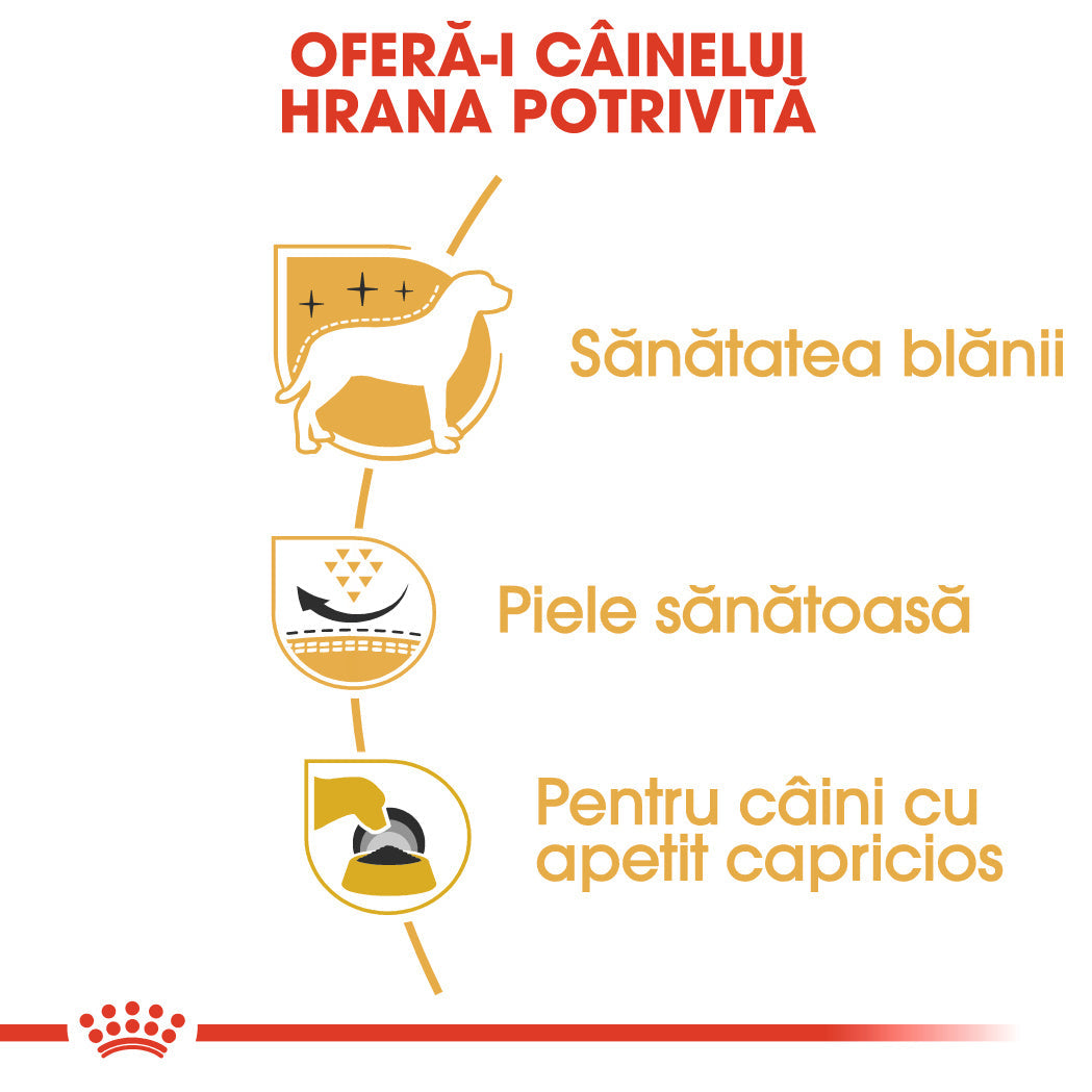 Royal Canin West Highland Terrier Adult hrana uscata caine Westie, 1.5 kg