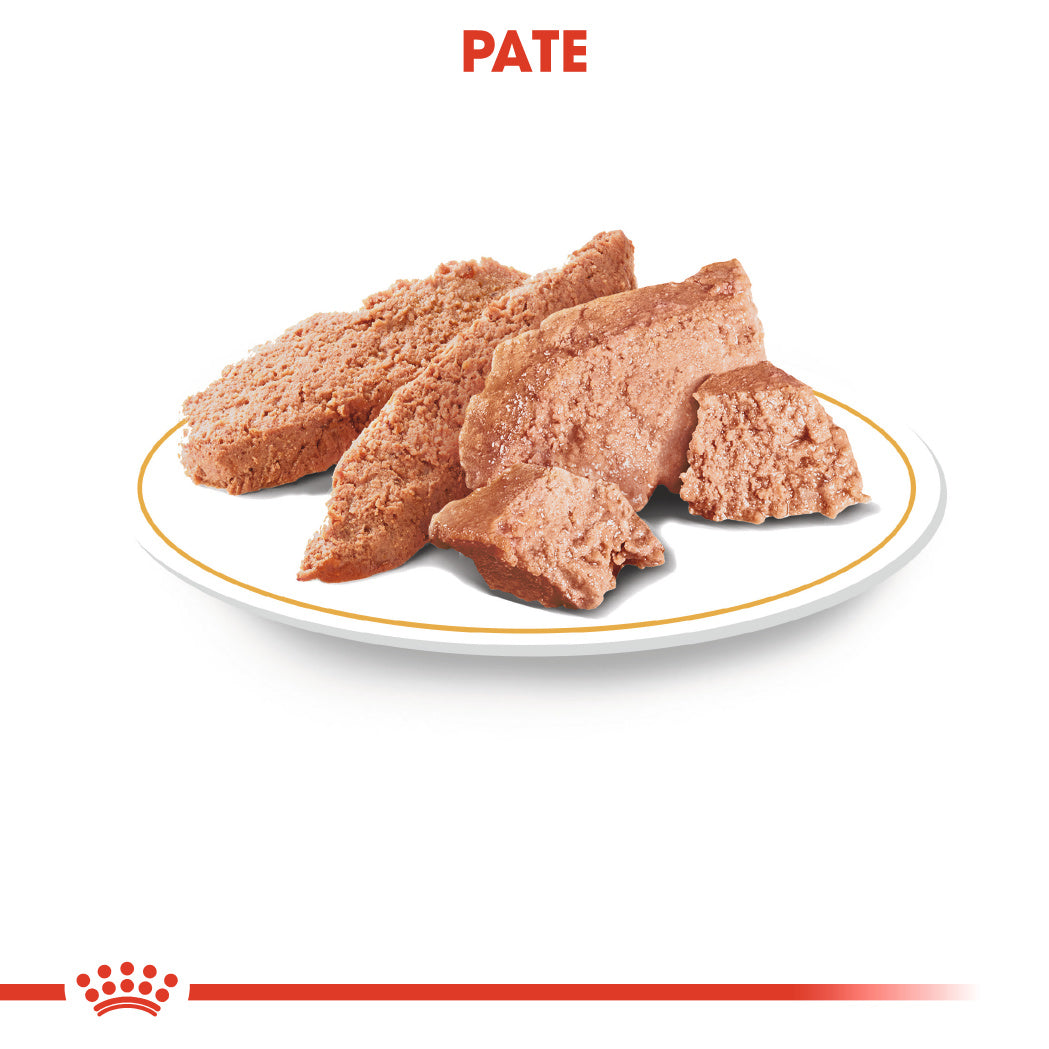 Royal Canin Chihuahua Adult hrana umeda caine (pate), 12 x 85 g