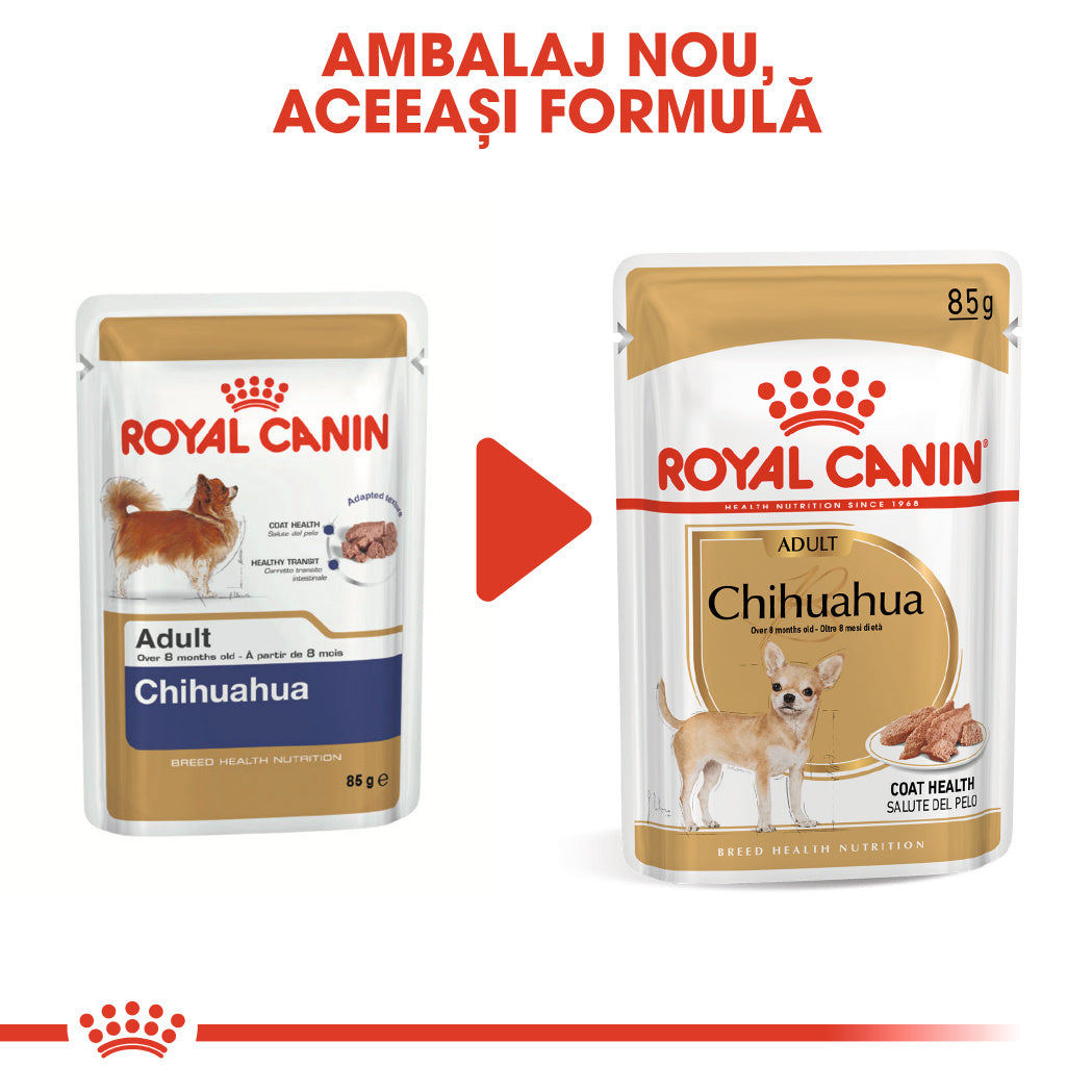 Royal Canin Chihuahua Adult hrana umeda caine (pate), 12 x 85 g