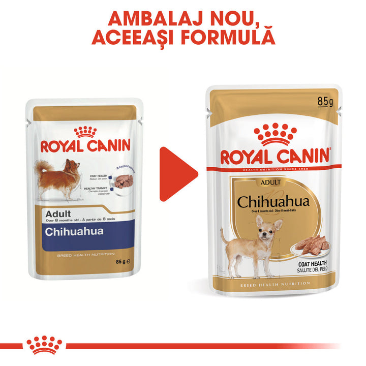 Royal Canin Chihuahua Adult hrana umeda caine (pate), 12 x 85 g