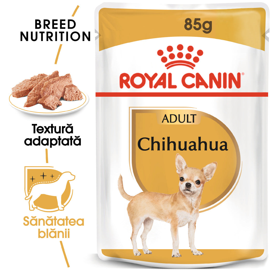 Royal Canin Chihuahua Adult hrana umeda caine (pate), 12 x 85 g