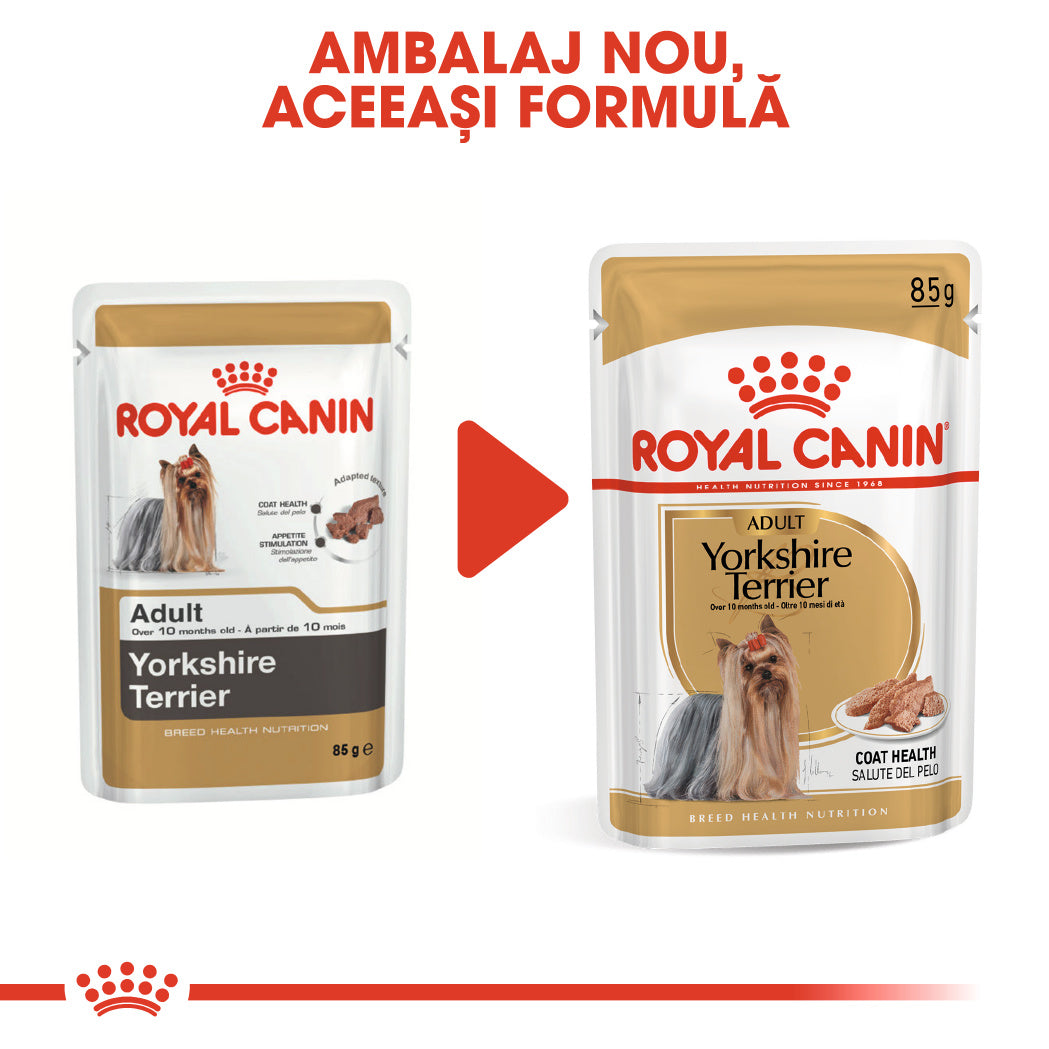 Royal Canin Yorkshire Terrier Adult hrana umeda caine (pate), 12 x 85 g