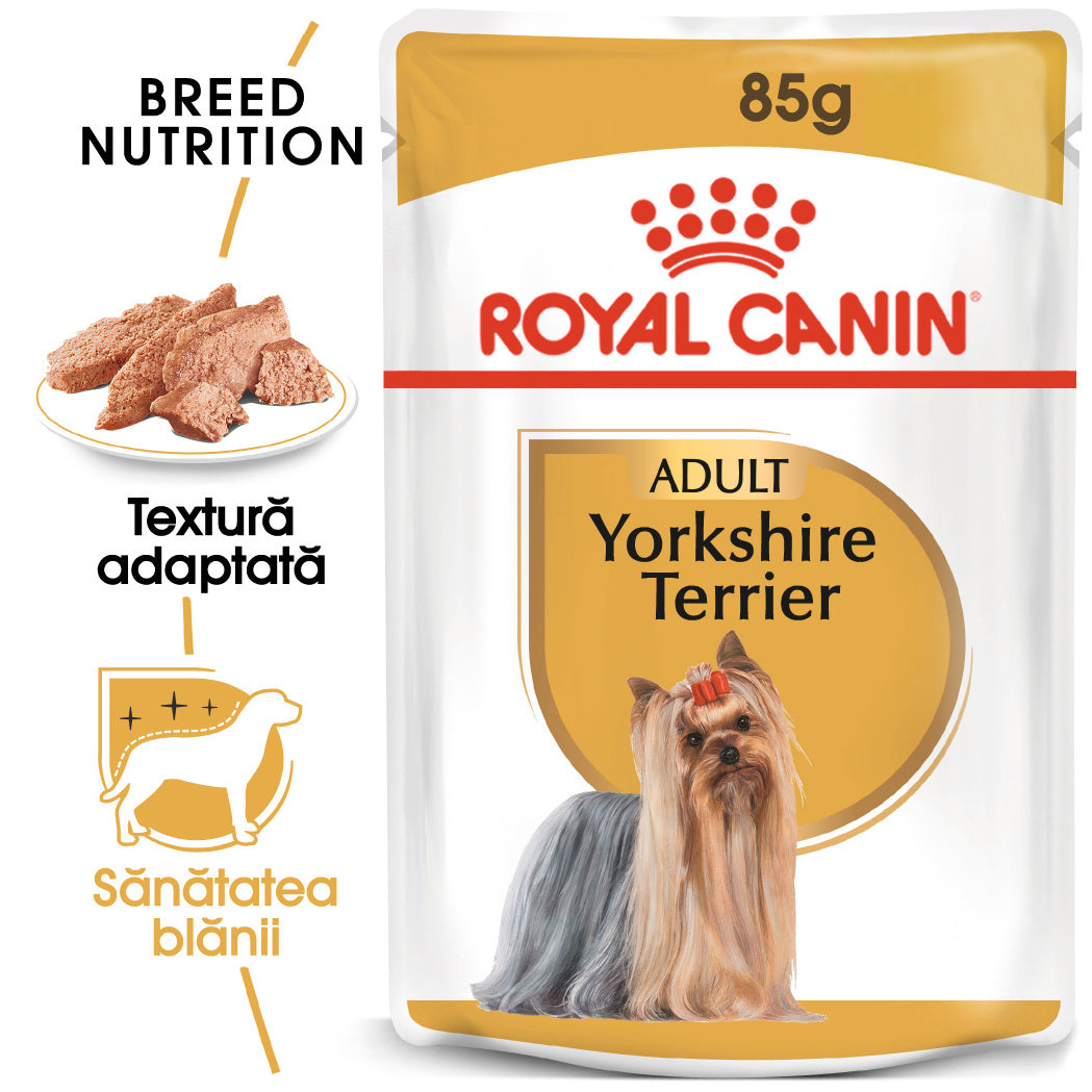 Hrana Umeda Caini Royal Canin AT65P | Yorkshire, Pate, 85g