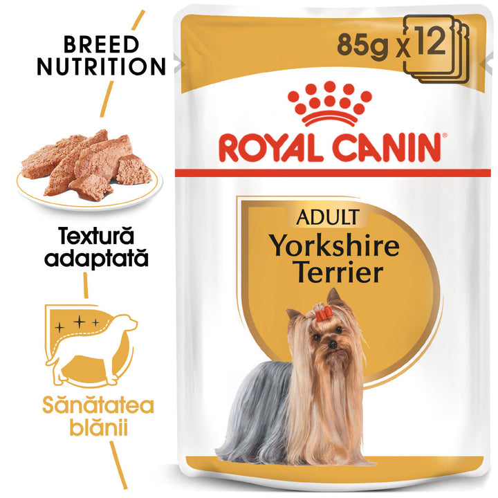 Hrana Umeda Caini Royal Canin AT65P | Yorkshire, Pate, 85g