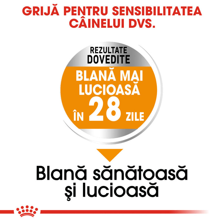 Royal Canin Mini Coat Care Adult hrana uscata caine, blana sanatoasa si lucioasa, 3 kg