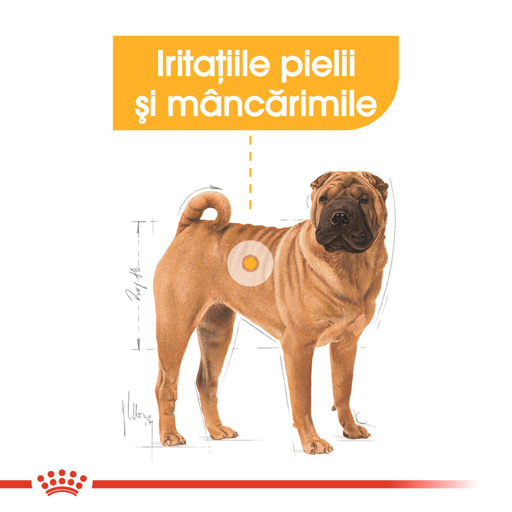 Royal Canin Medium Dermacomfort hrana uscata caine, prevenirea iritatiilor pielii, 3 kg