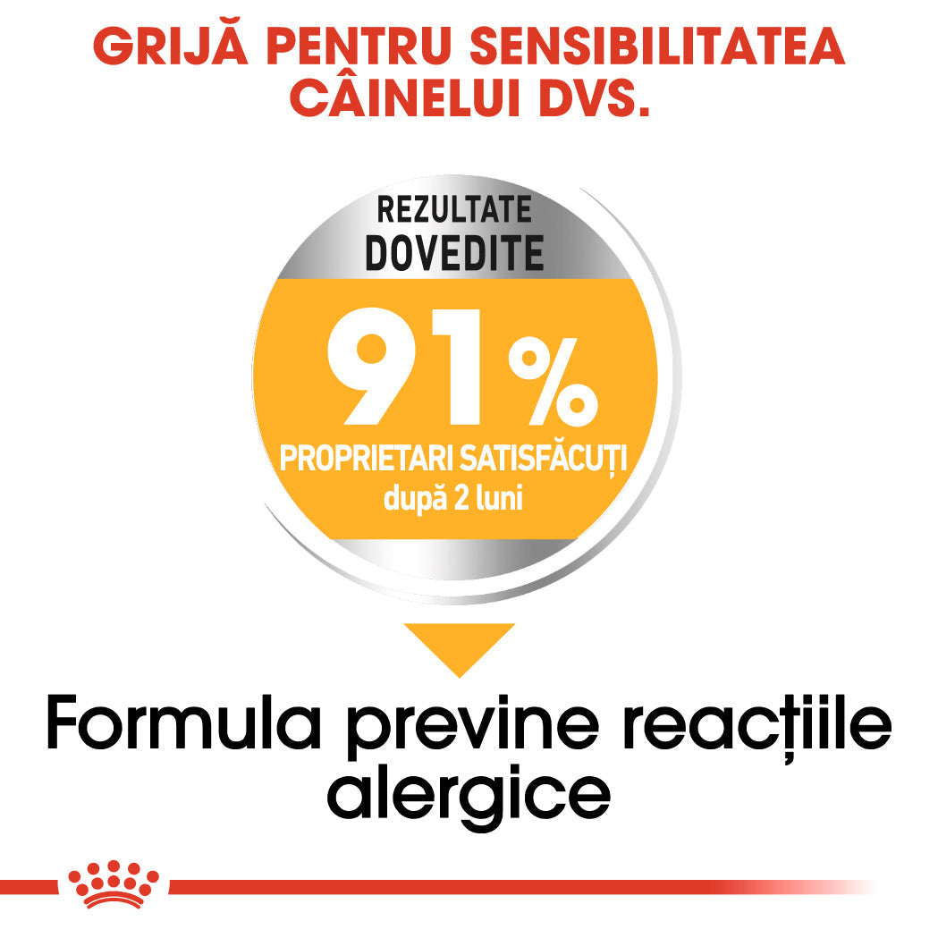 Royal Canin Mini Dermacomfort hrana uscata caine, prevenirea iritatiilor pielii, 1 kg