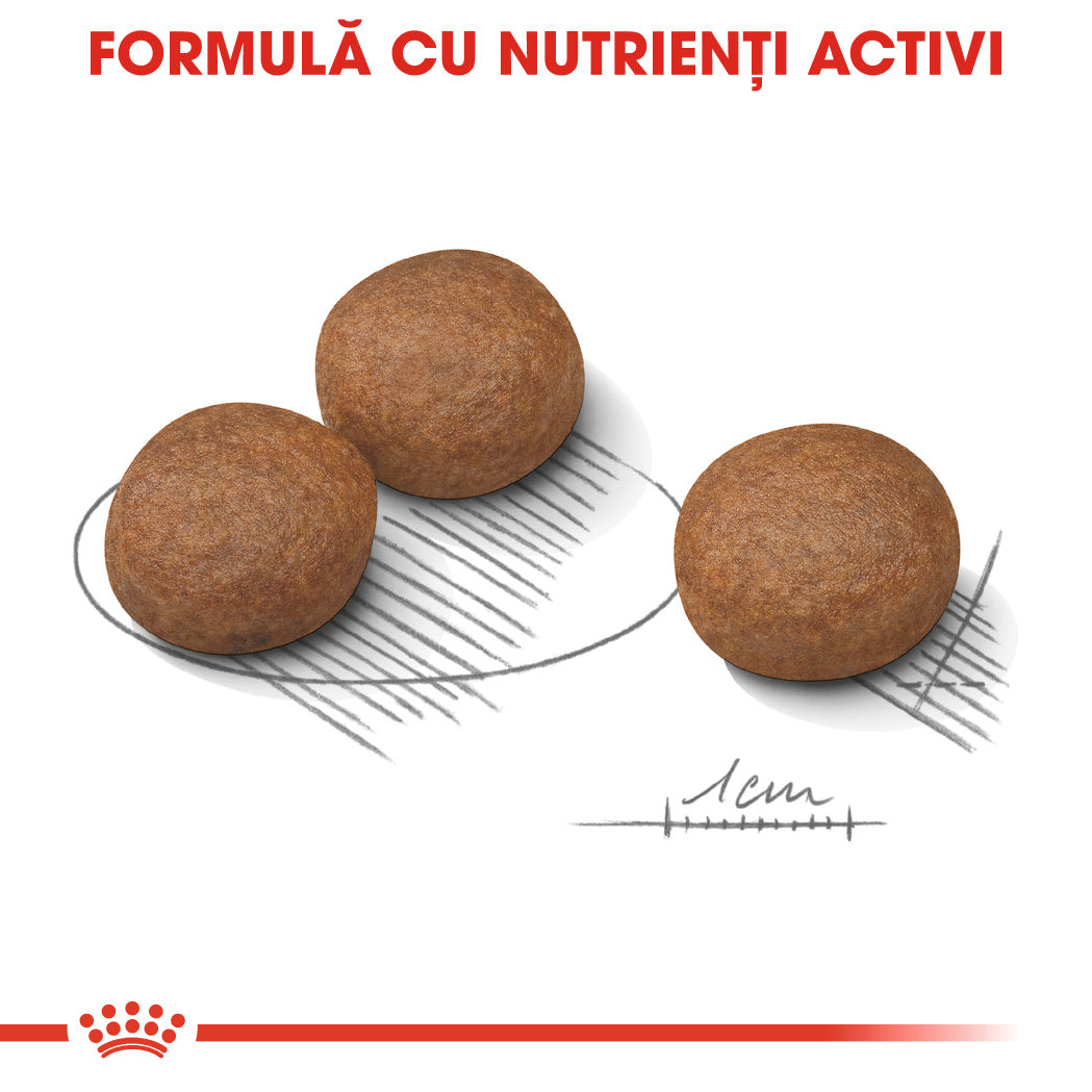Royal Canin Medium Digestive Care hrana uscata caine, confort digestiv, 3 kg